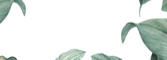img-slider2
