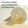ANUA Heartleaf 80% Soothing Ampoule - Image 2