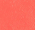 Spicy Marg (Bright Coral)